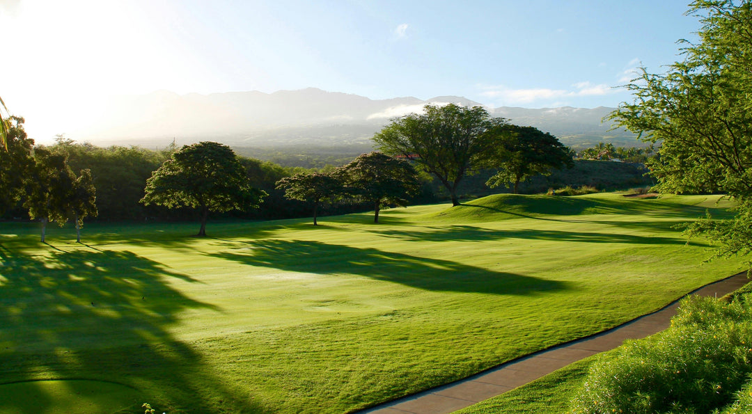 How to Know If a Golf Ball Is Right for You